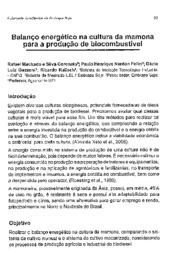 Thumbnail de Balanço energético na cultura da mamona para a produção de biocombustível.