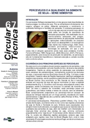 Thumbnail de Percevejos e a qualidade da semente de soja - série sementes.