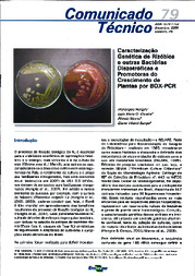 Thumbnail de Caracterização genética de rizóbios e outras bactérias diazotróficas e promotoras do crescimento de plantas por BOX-PCR.