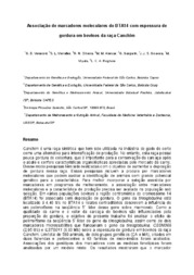 Thumbnail de Associação de marcadores moleculares do BTA14 com espessura de gordura em bovinos da raça Canchim.