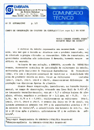 Thumbnail de Campo de observação da cultura da cebola (Allium cepa L.) no Acre.