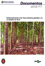 Thumbnail de Reflorestamento com teca (Tectona grandis L. F.) no estado do Acre.