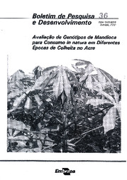 Thumbnail de Avaliação de genótipos de mandioca para consumo in natura em diferentes épocas de colheita na Acre.