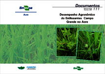 Thumbnail de Desempenho agronômico do estilosantes Campo Grande no Acre.