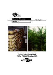 Thumbnail de Cultivo da pupunha para palmito no Acre.