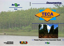 Thumbnail de Teca (Tectona grandis L. f.): principais perguntas do futuro empreendedor florestal.