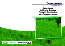 Thumbnail de Capim-Xaraés: cultivar de gramínea forrageira recomendada para pastagens no Acre.