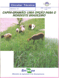 Thumbnail de Capim gramão: uma opção para o Nordeste brasileiro.