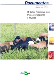 Thumbnail de O setor produtivo das peles de caprinos e ovinos.