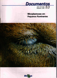 Thumbnail de Micoplasmoses em pequenos ruminantes.