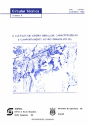 Thumbnail de A cultivar de videira semillon: características e comportamento no Rio Grande do Sul.