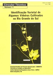 Thumbnail de Identificação varietal de algumas videiras cultivadas no Rio Grande do Sul.