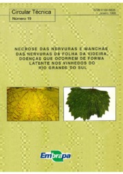 Thumbnail de Necrose das nervuras e manchas das nervuras da folha da videira, doenças que ocorrem de forma latente nos vinhedos do Rio Grande do Sul.