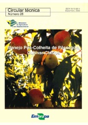 Thumbnail de Manejo pós-colheita de pêssegos: cultivar Chiripá.