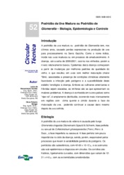 Thumbnail de Podridão da uva madura ou podridão de Glomerella: biologia, epidemiologia e controle.