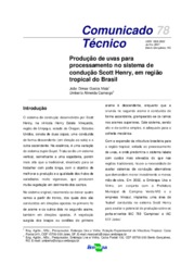 Thumbnail de Produção de uvas para processamento no sistema de condução Scott Henry, em região tropical do Brasil.