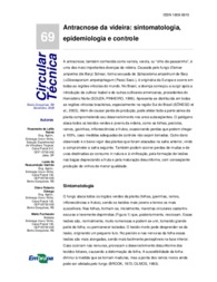Thumbnail de Antracnose da videira: sintomatologia, epidemiologia e controle.