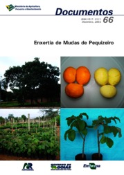 Thumbnail de Enxertia de mudas de pequizeiro.
