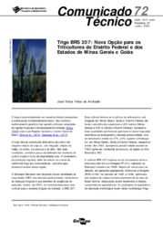 Thumbnail de Trigo BRS 207: nova opção para os triticultores do Distrito Federal e dos estados de Minas Gerais e Goiás.