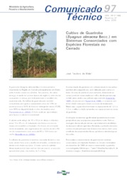 Thumbnail de Cultivo de guariroba (Syagrus oleracea Becc.) em sistemas consorciados com espécies florestais no cerrado.
