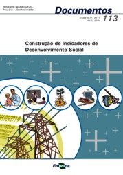 Thumbnail de Construção de indicadores de desenvolvimento social.