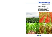Thumbnail de Cultivo do milho adensado: alternativa para maximizar o rendimento de grãos.