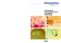 Thumbnail de Conservação de espermatozóides bovinos por liofilização (freeze-drying).