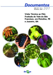 Thumbnail de Visita técnica ao pólo frutícola do Vale do São Francisco em Petrolina-PE e Juazeiro-BA.