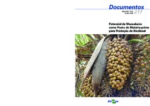 Thumbnail de Potencial da macaubeira como fonte de matéria-prima para produção de biodiesel.