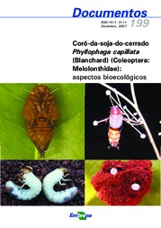 Thumbnail de Coró-da-soja-do-cerrado Phyllophaga capillata (Blanchard) (Coleoptera: Melolonthidae) : aspectos bioecológicos.