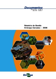 Thumbnail de Relatório de gestão 2006.