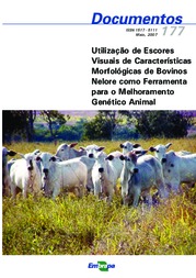 Thumbnail de Utilização de escores visuais de características morfológicas de bovinos nelore como ferramenta para o melhoramento genético animal.