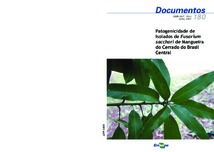 Thumbnail de Patogenicidade de isolados de fusarium sacchari de mangueira do Cerrado do Brasil Central.