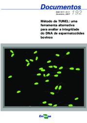 Thumbnail de Método de TÚNEL: uma ferramenta alternativa para avaliar a integridade do DNA de espermatozóides bovinos.