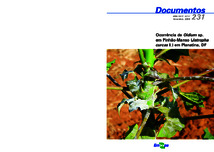 Thumbnail de Ocorrência de Oidium sp. em pinhão-manso (Jatropha curcas l.) em Planaltina, DF (folheto).