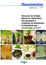 Thumbnail de Protocolo de criação massal de cigarrinhas-das-pastagens e avaliação de resistência de brachiaria spp.: metodologia do CIAT.