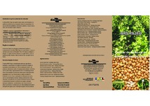 Thumbnail de BRS Pajeú : cultivar de feijão-caupi com grão mulato-claro.