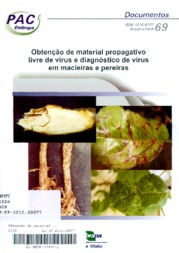 Thumbnail de Obtenção de material propagativo livre de vírus e diagnóstico de vírus em macieiras e pereiras.