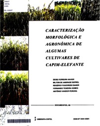 Thumbnail de Caracterização morfológica e agronômica de algumas cultivares de capim-elefante.