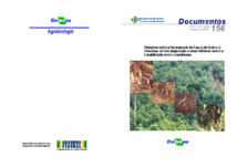 Thumbnail de Relações entre a diversidade da fauna de solo e o processo de decomposição e seus reflexos sobre a estabilidade dos ecossistemas.