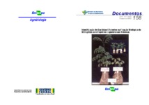 Thumbnail de Identificação de bactérias eficientes na fixação biológica de nitrogênio para espécies leguminosas arbóreas.