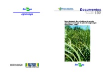 Thumbnail de Aproveitamento das entrelinhas de cana-de-açúcar para produção de grãos de caupi (Vigna unguiculata L. Walp).