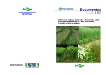 Thumbnail de Influência da adubação verde sobre o crescimento, estado nutricional e produtividade do café (coffea arabica) cultivado no sistema orgânico.