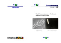 Thumbnail de Uso de imunocaptura para o isolamento de bactérias do ambiente.