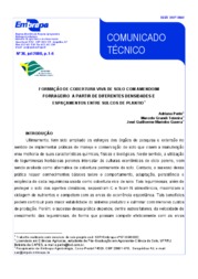 Thumbnail de Formação de cobertura viva de solo com amendoim forrageiro a partir de diferentes densidades e espaçamentos entre sulcos de plantio.