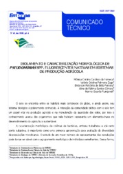 Thumbnail de Isolamento e caracterização morfológica de Pseudomonas spp. fluorescentes nativas em sistemas de produção agrícola.