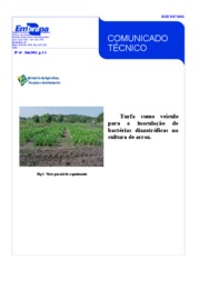 Thumbnail de Turfa como veículo para inoculação de bactérias diazotróficas na cultura de arroz.