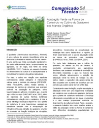 Thumbnail de Adubação verde na forma de consórcio no cultivo do quiabeiro sob manejo orgânico.