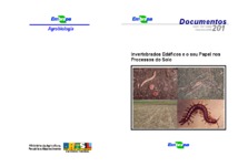 Thumbnail de Invertebrados edáficos e o seu papel nos processos do solo.