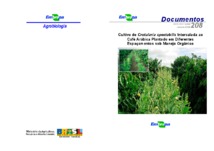 Thumbnail de Cultivo de Crotalaria spectabilis intercalada ao café Arábica plantado em diferentes espaçamentos sob manejo orgânico.